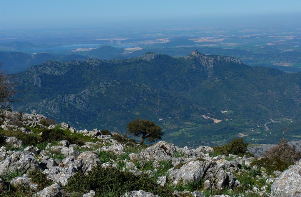 Apartamentos Rurales Sierra Alta ベナオカス エクステリア 写真