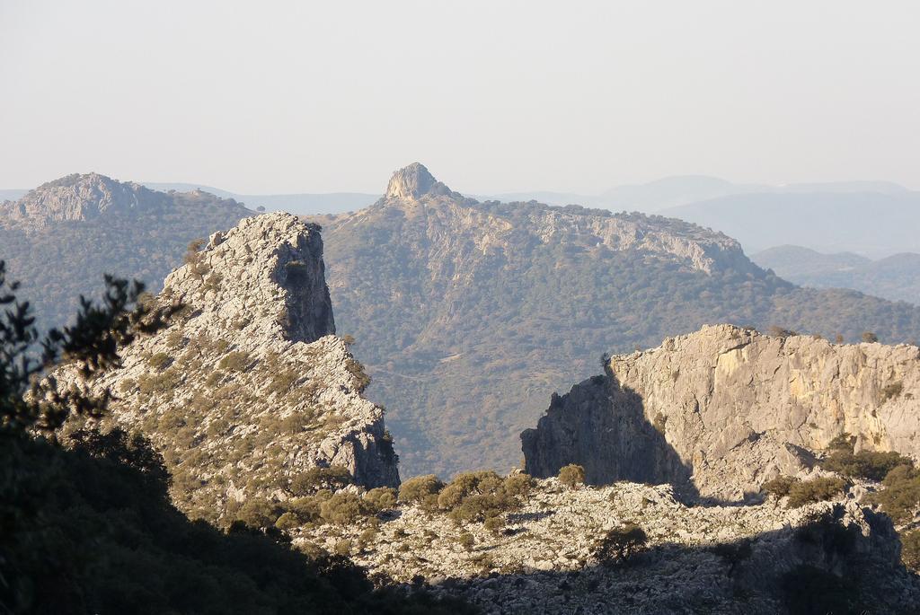 Apartamentos Rurales Sierra Alta ベナオカス エクステリア 写真