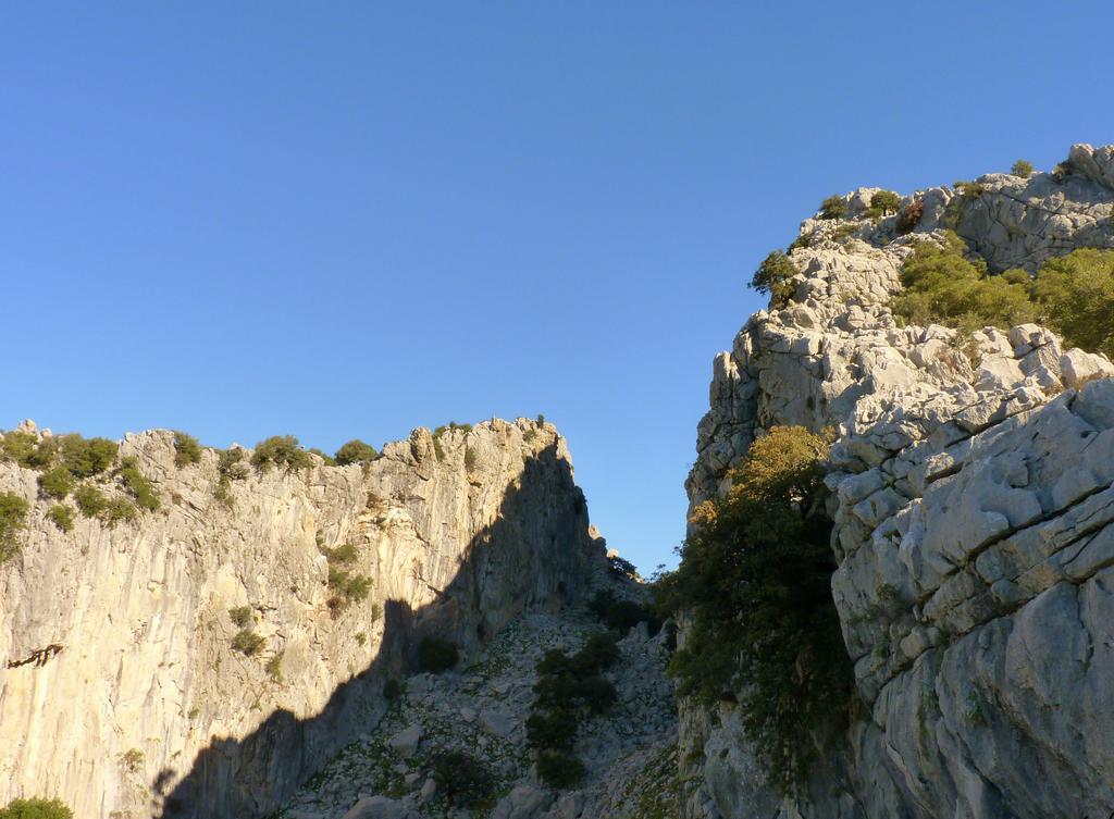 Apartamentos Rurales Sierra Alta ベナオカス エクステリア 写真