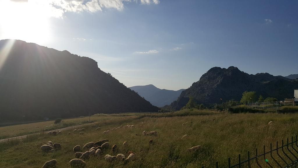 Apartamentos Rurales Sierra Alta ベナオカス エクステリア 写真